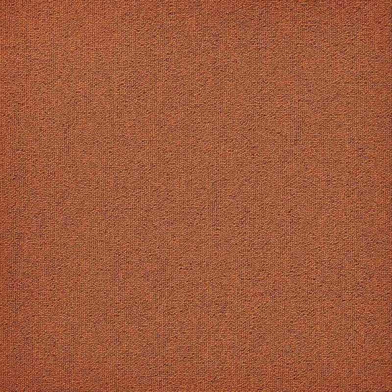Zoom 1 81666