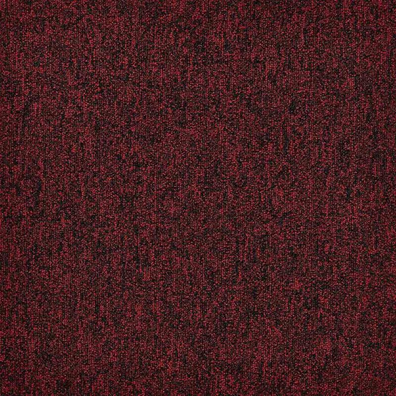 Zoom 1 81668