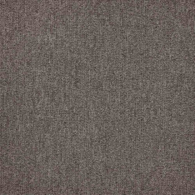 Zoom 1 81677