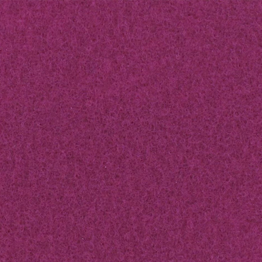 Zoom 1 81817