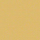 Zoom 1 82569