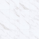 Zoom 1 83540