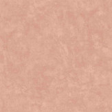 Zoom 1 84799