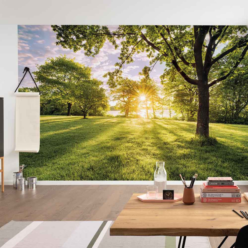 Ambiance 1 84861
