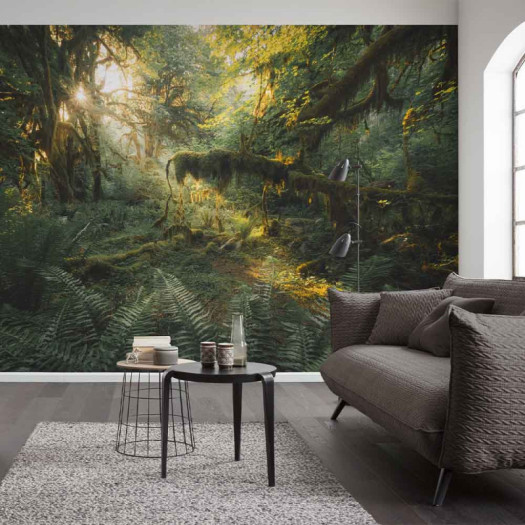 Ambiance 1 84863
