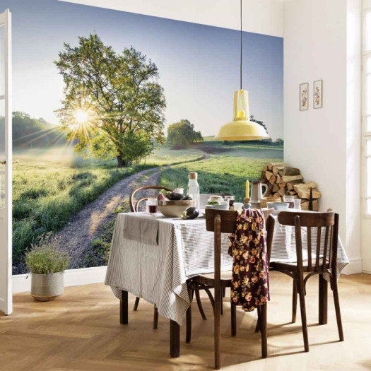 Ambiance 1 85036