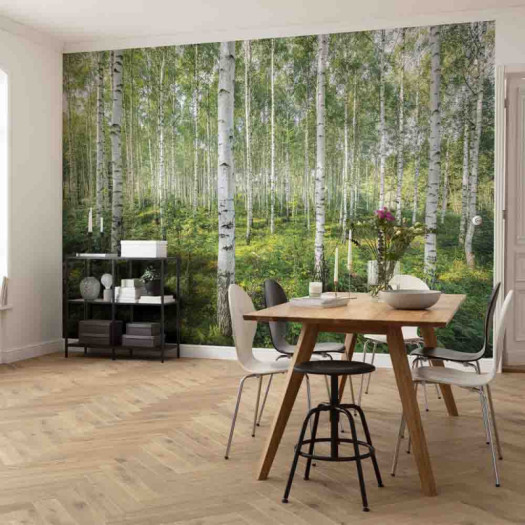 Ambiance 1 85056