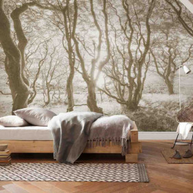 Ambiance 1 85922