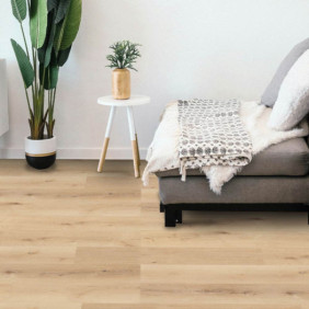 Ambiance 1 88405
