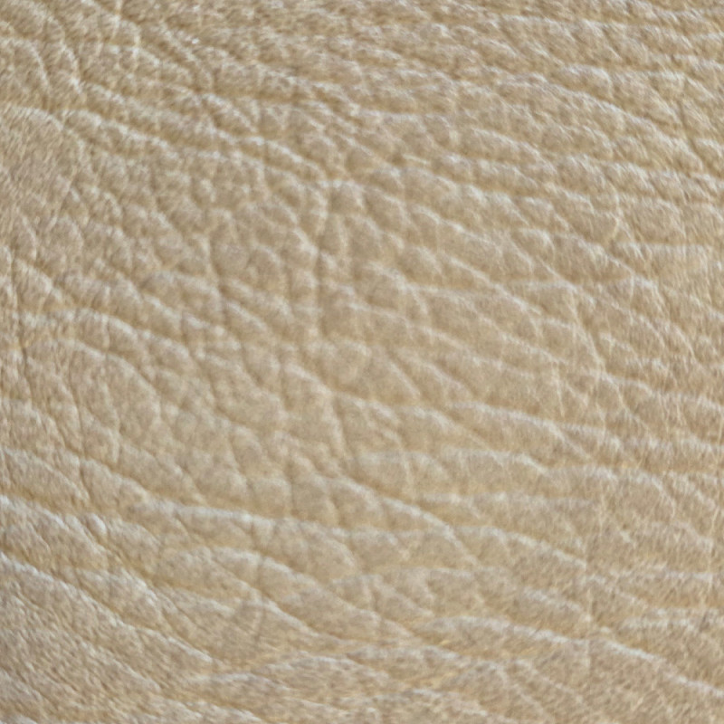 Zoom 1 88477
