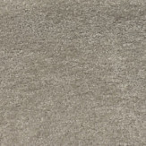 Zoom 1 88506
