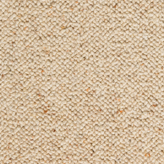 Zoom 1 89591