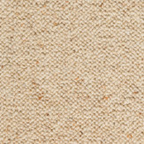 Zoom 1 89591