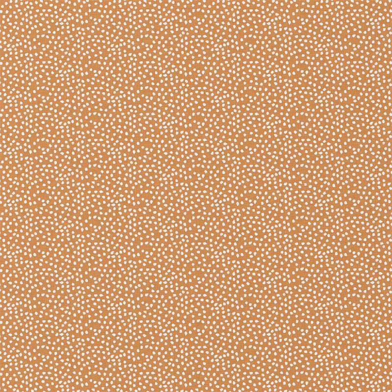 Zoom 1 89966