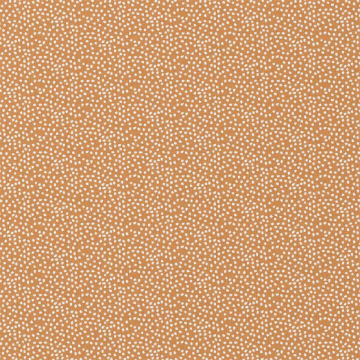 Zoom 1 89966
