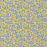 Zoom 1 89977