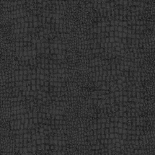 Zoom 2 90496