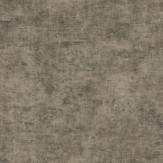 Zoom 2 90497