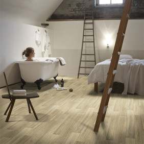Ambiance 1 79323