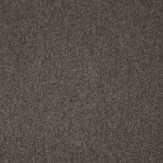 Zoom 1 81386