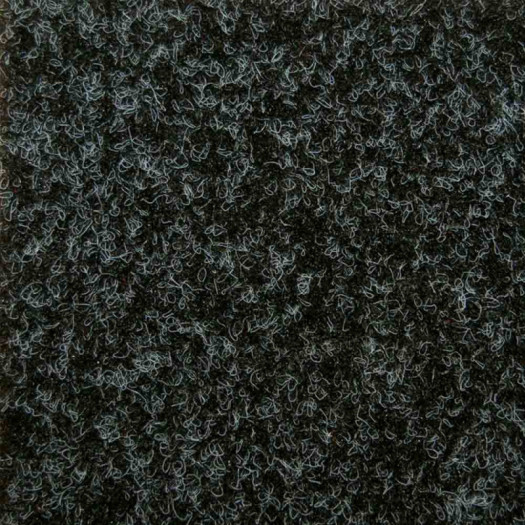 Zoom 1 81465