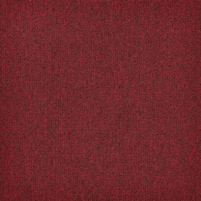 Zoom 1 81667