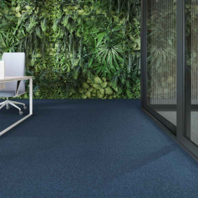 Ambiance 1 81670