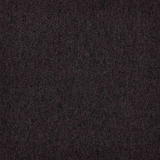 Zoom 1 81679