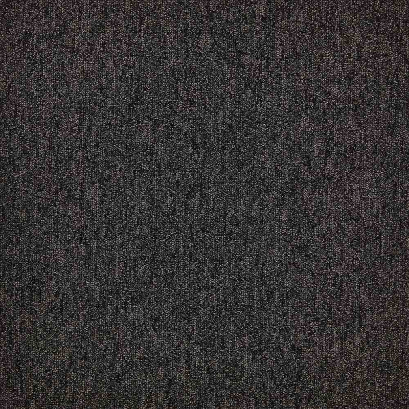 Zoom 1 81685