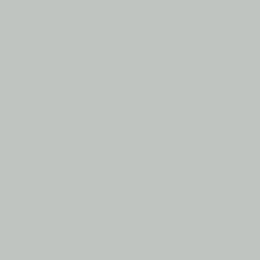 Zoom 1 86286