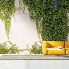 Ambiance 1 88932