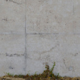 Zoom 1 88938
