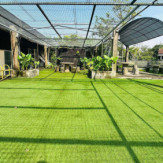Ambiance 2 89408