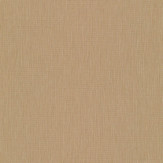 Zoom 2 89912