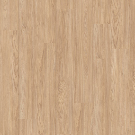 Zoom 2 90067