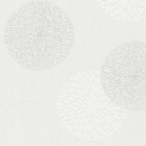 Zoom 1 59354