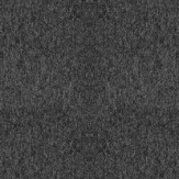 Zoom 2 89488