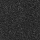 Zoom 1 66963