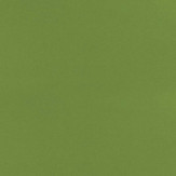 Zoom 1 81356
