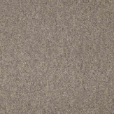 Zoom 1 81379