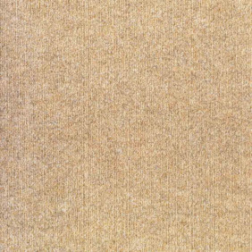 Zoom 1 81446