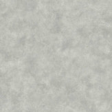 Zoom 1 81629