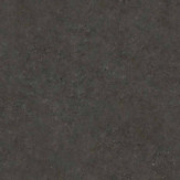 Zoom 1 82981
