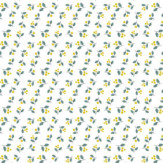 Zoom 2 90231