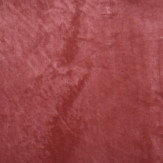 Zoom 2 90981