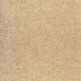 Zoom 1 81446
