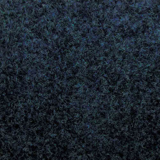 Zoom 1 81461