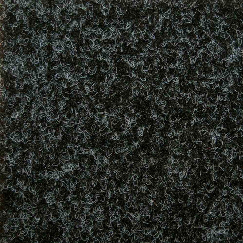 Zoom 1 81465