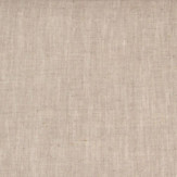 Zoom 1 55925