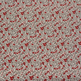 Zoom 1 67459